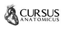 cursus-anatomicus.de